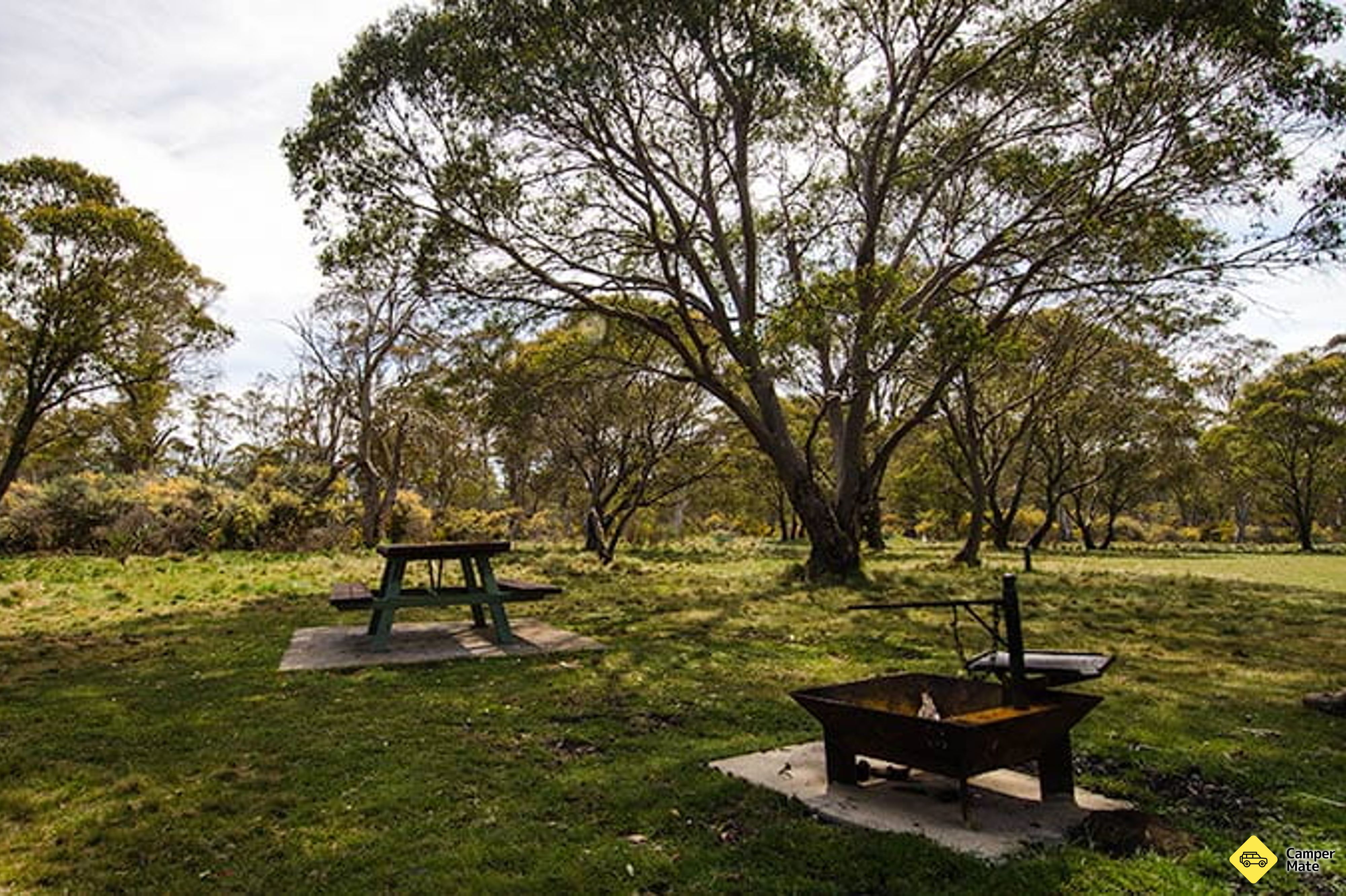 Little Murray Campground - Image 2