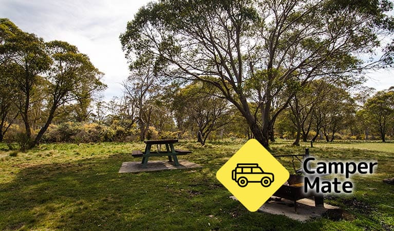 Little Murray Campground - Image 2