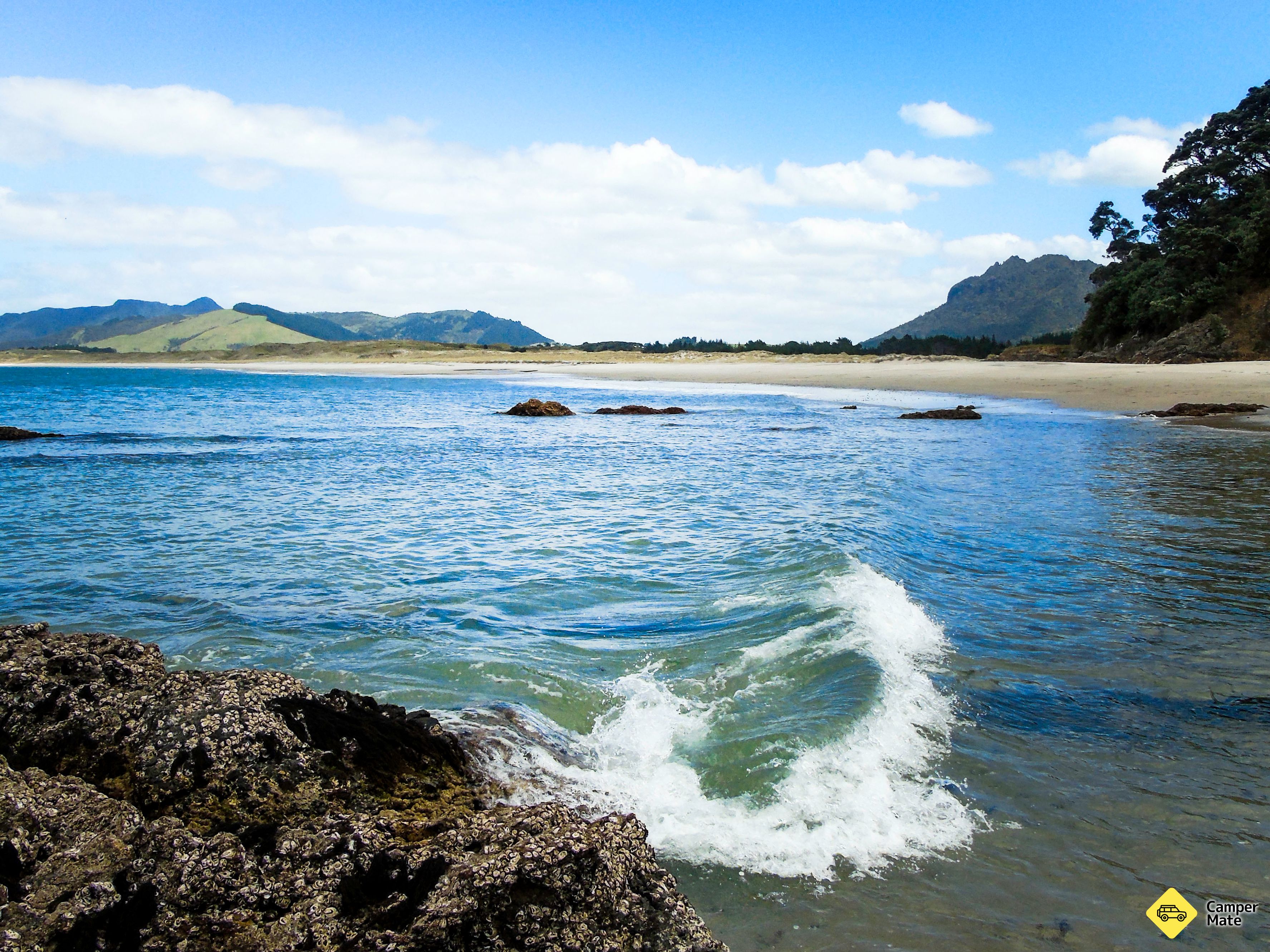 Ocean Beach Whangarei - Image 3