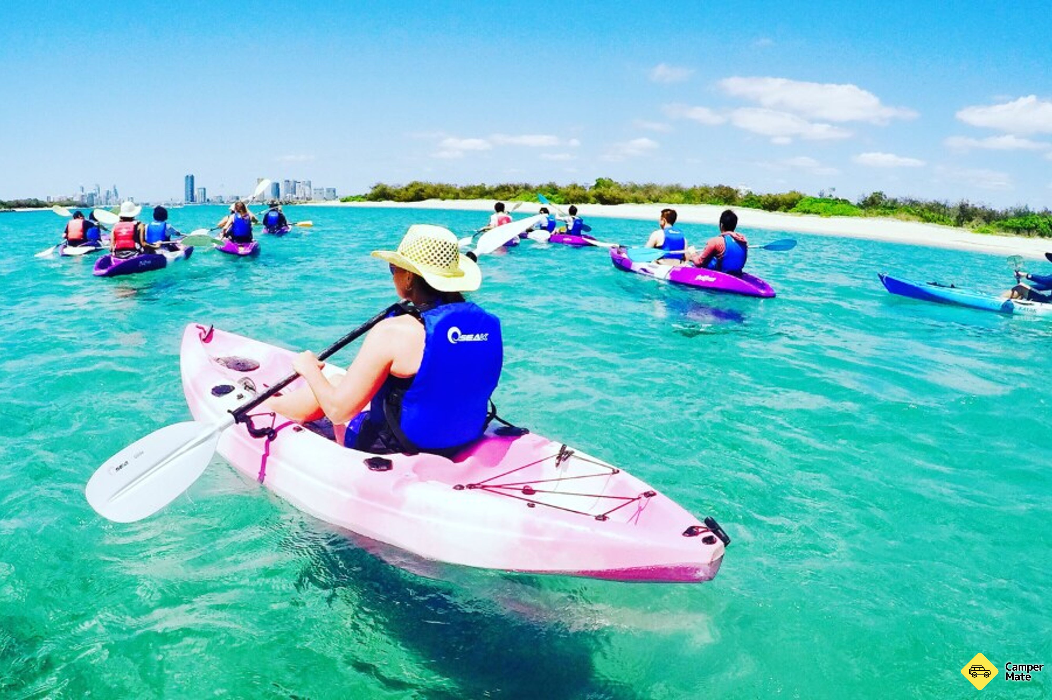 Gold Coast Dolphin Kayaking și Snorkeling Tour
