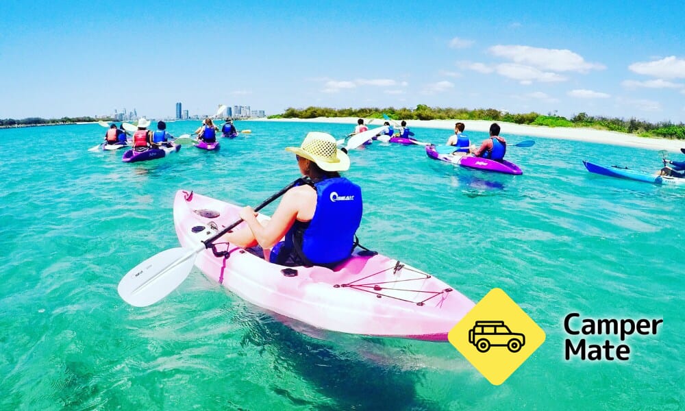 Gold Coast Dolphin Kayaking și Snorkeling Tour