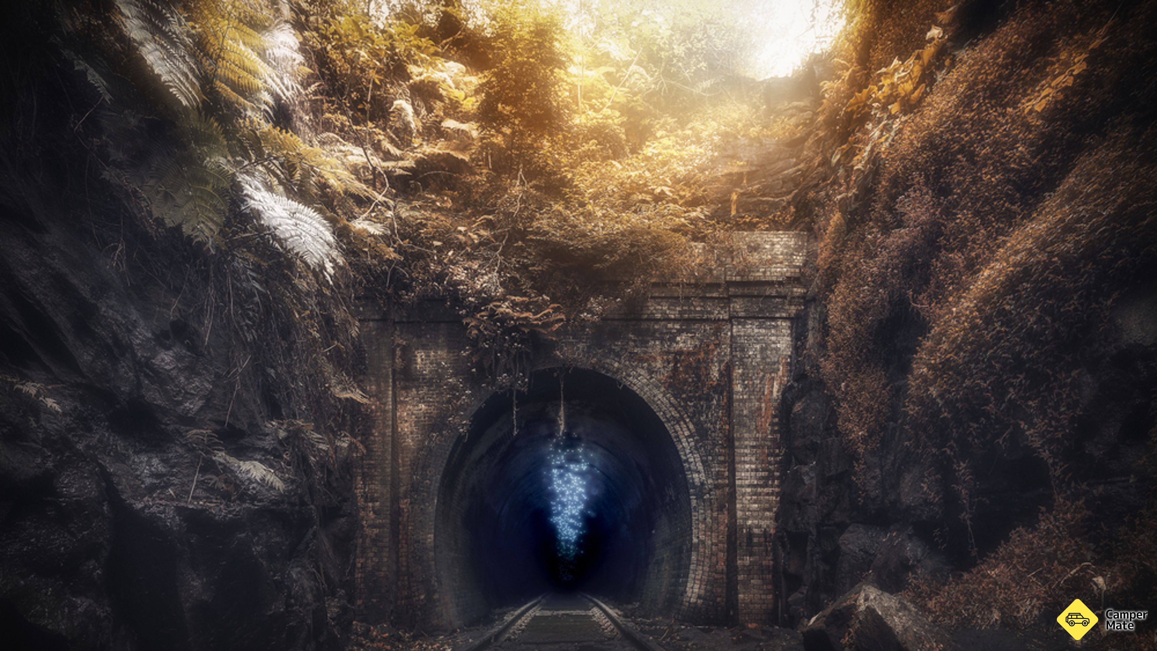 Helensburgh Glow Worm Tunnel