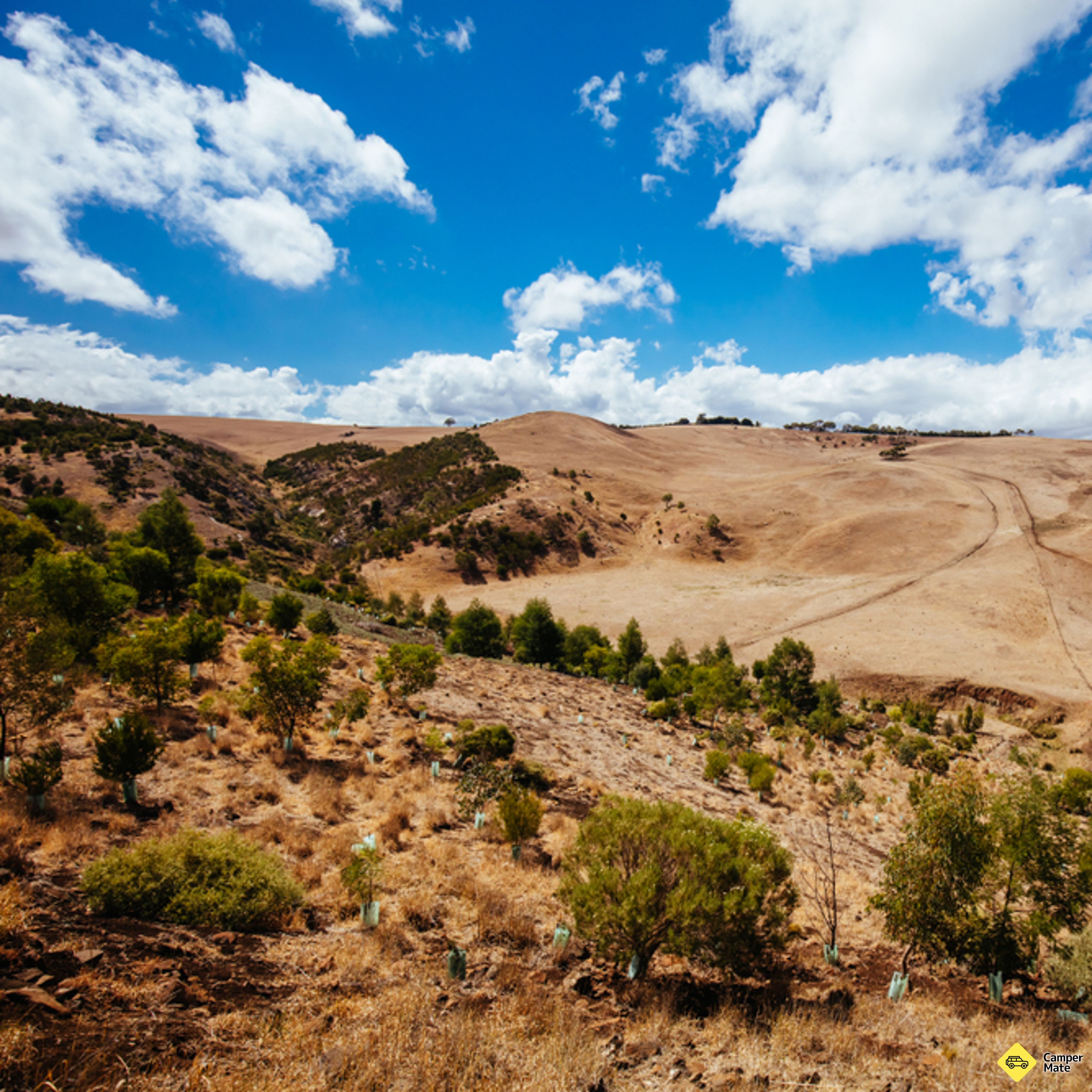 Werribee Gorge Circuit Walk - Image 2
