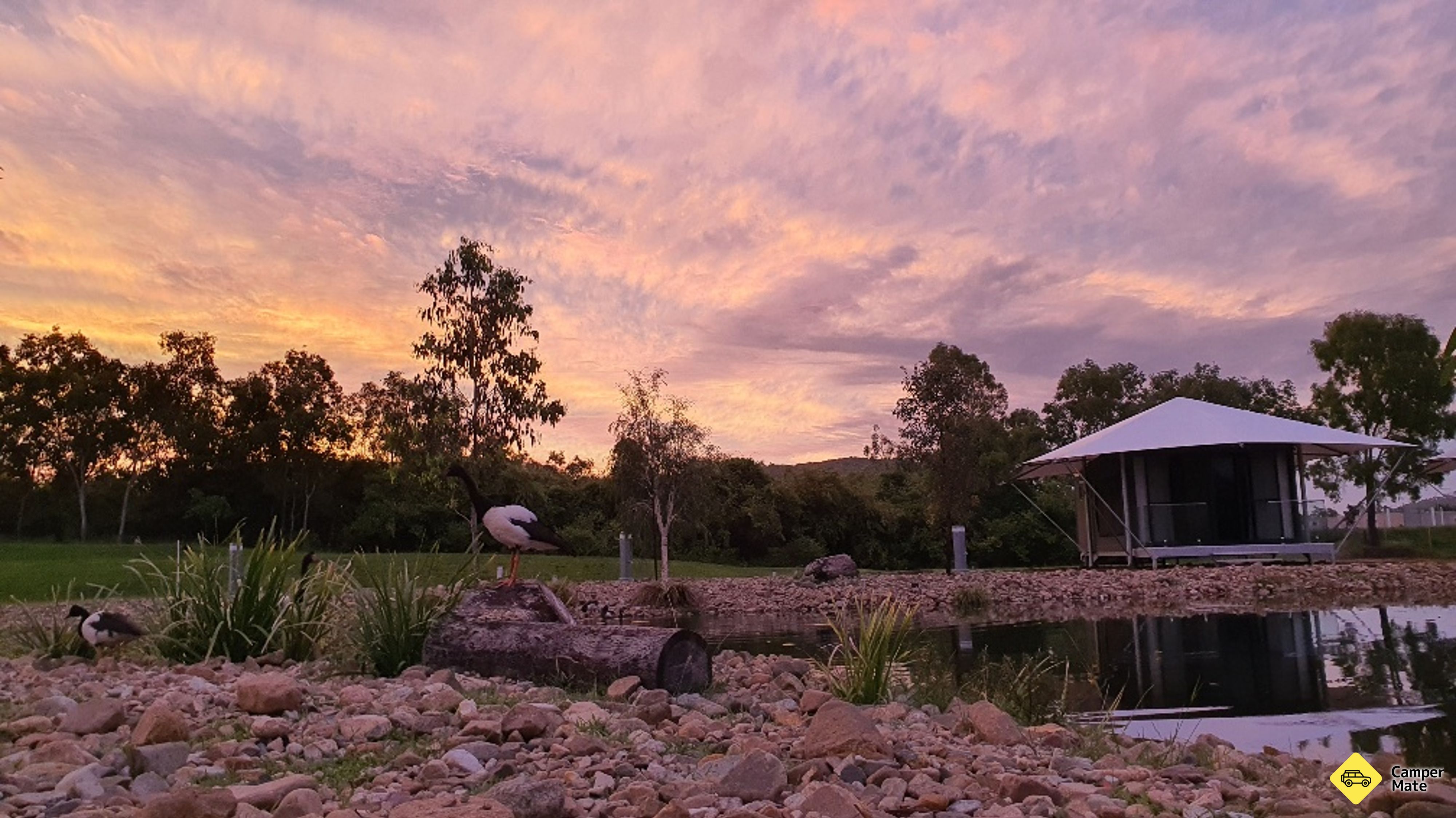 Hal yang dapat dilakukan di dekat BIG4 Eco Resort Townsville