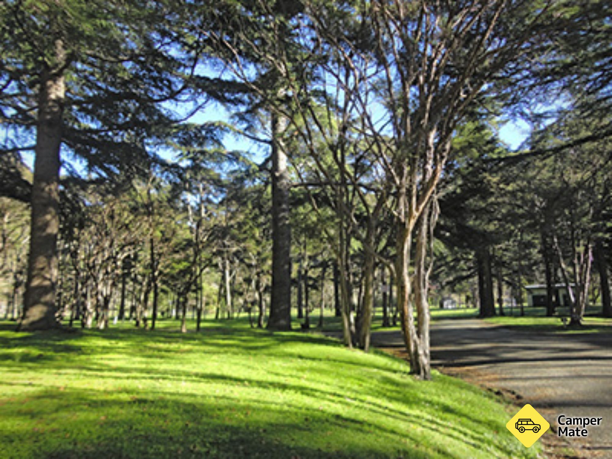 Maitai Valley Motor Camp - Image 2
