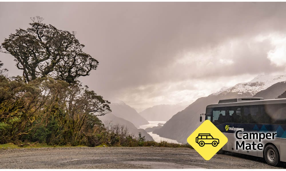 Doubtful Sound Overnight Cruise with Kayak Adventure - Image 3