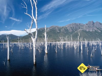 Lake Gordon - Lake Pedder Scenic Circuit