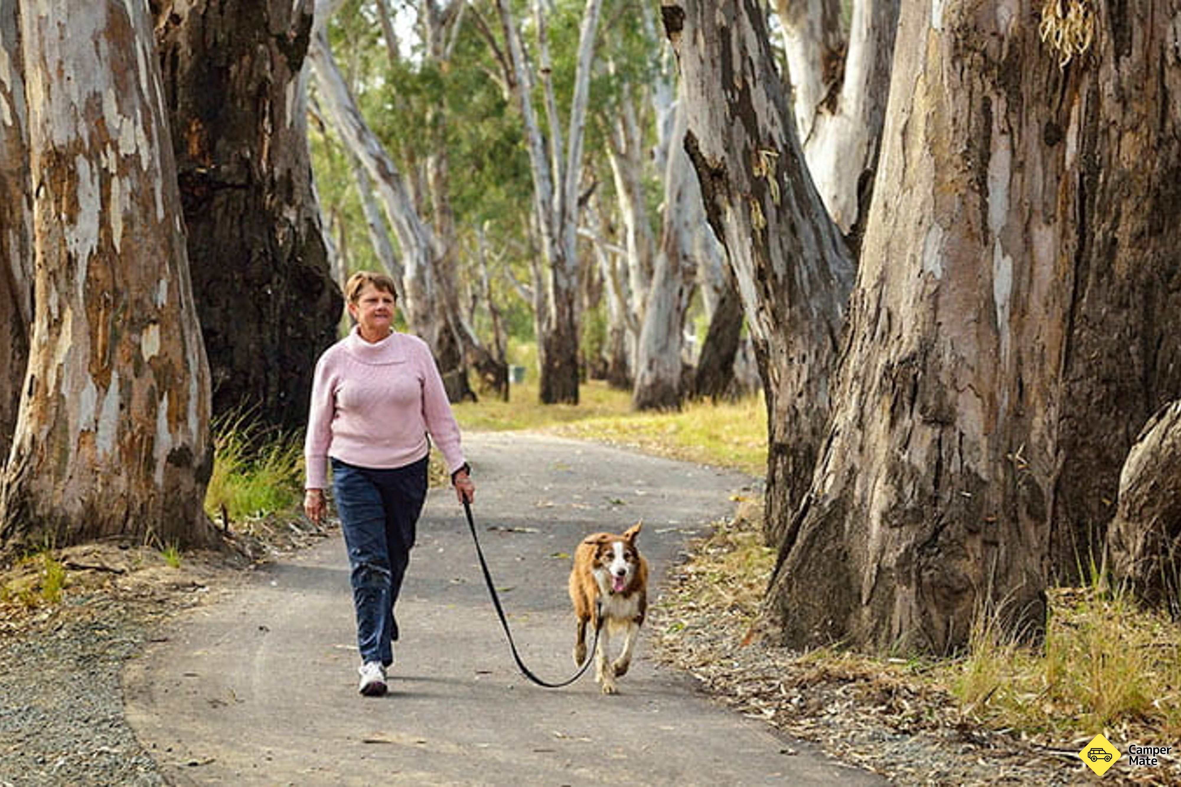 Лагерь Deniliquin - Image 3