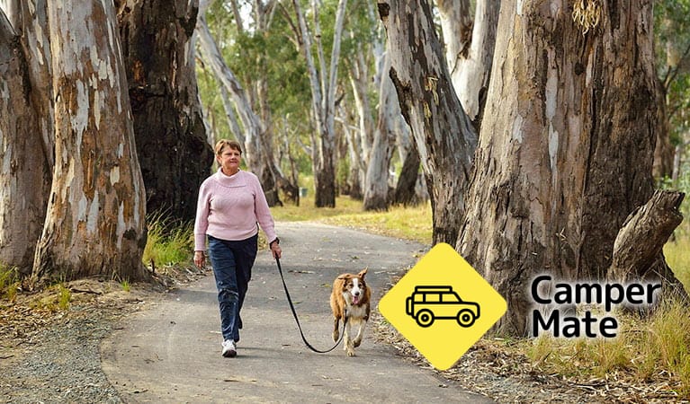 Deniliquin Campground - Image 3