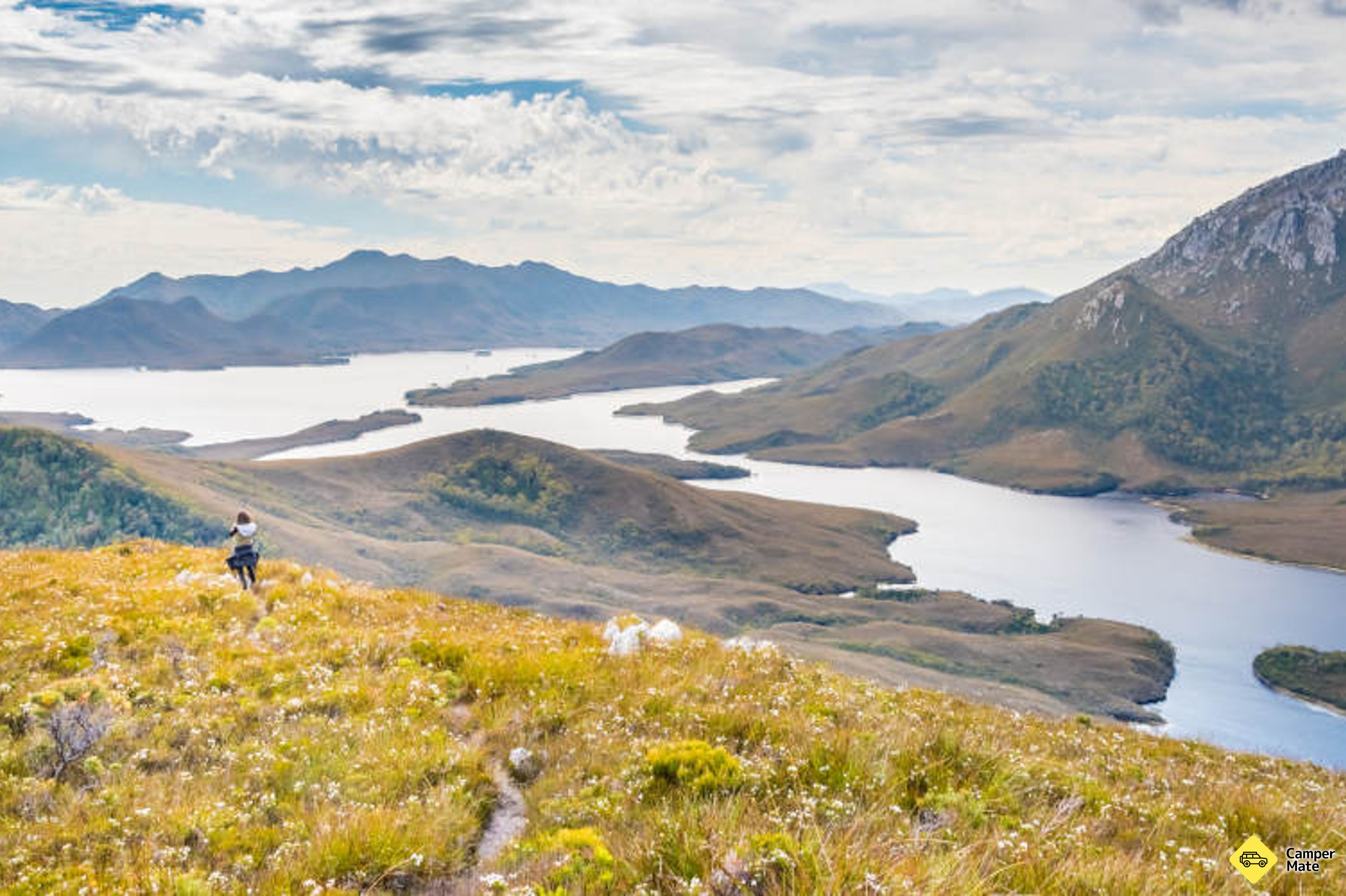 Tasmanian Wilderness Day Tour dengan Penerbangan Scenic - Image 3