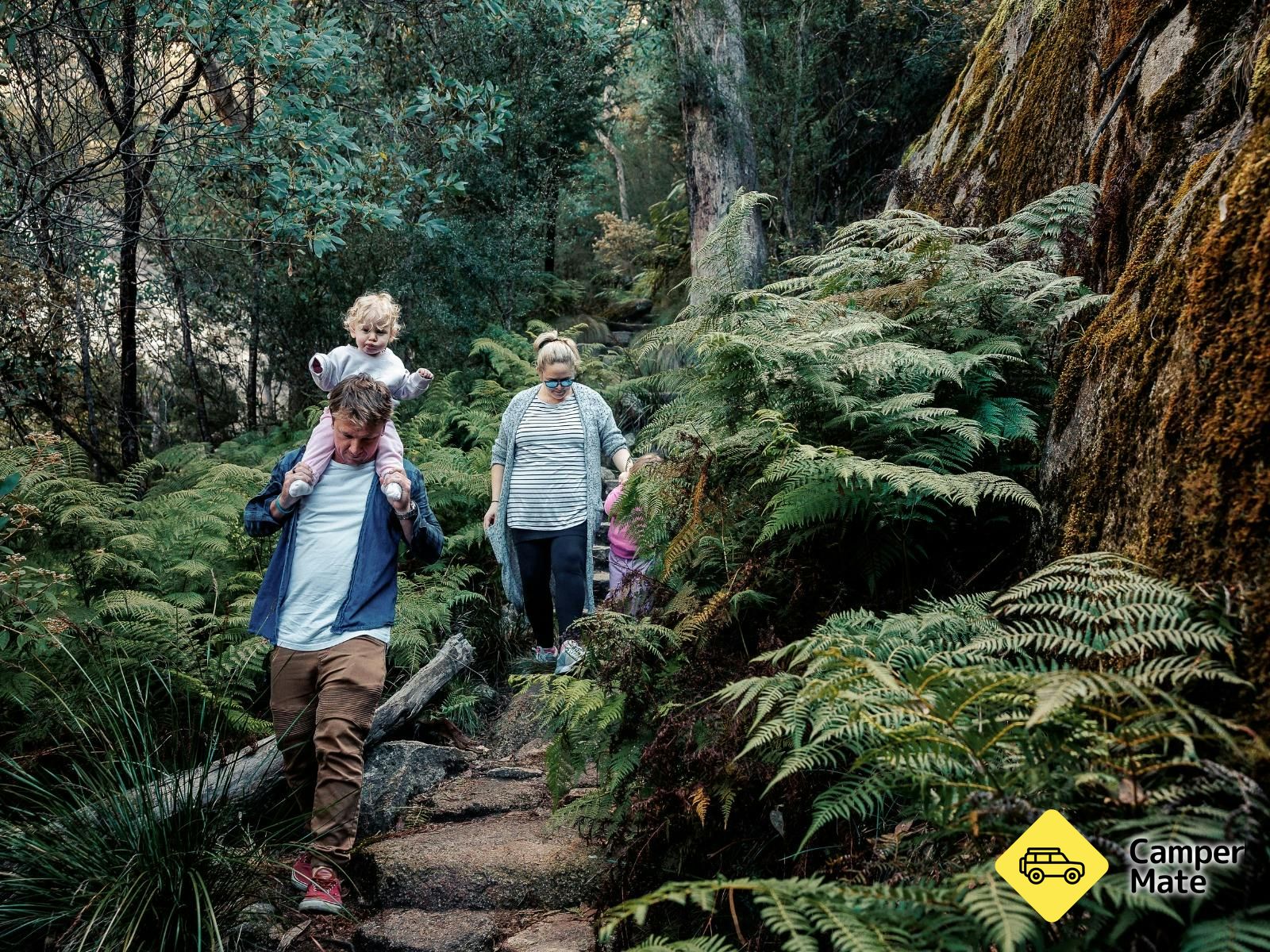 Informasi tentang Eurobin Falls Walking Trail