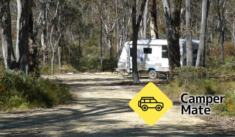 Blatherarm Campground - Image 2