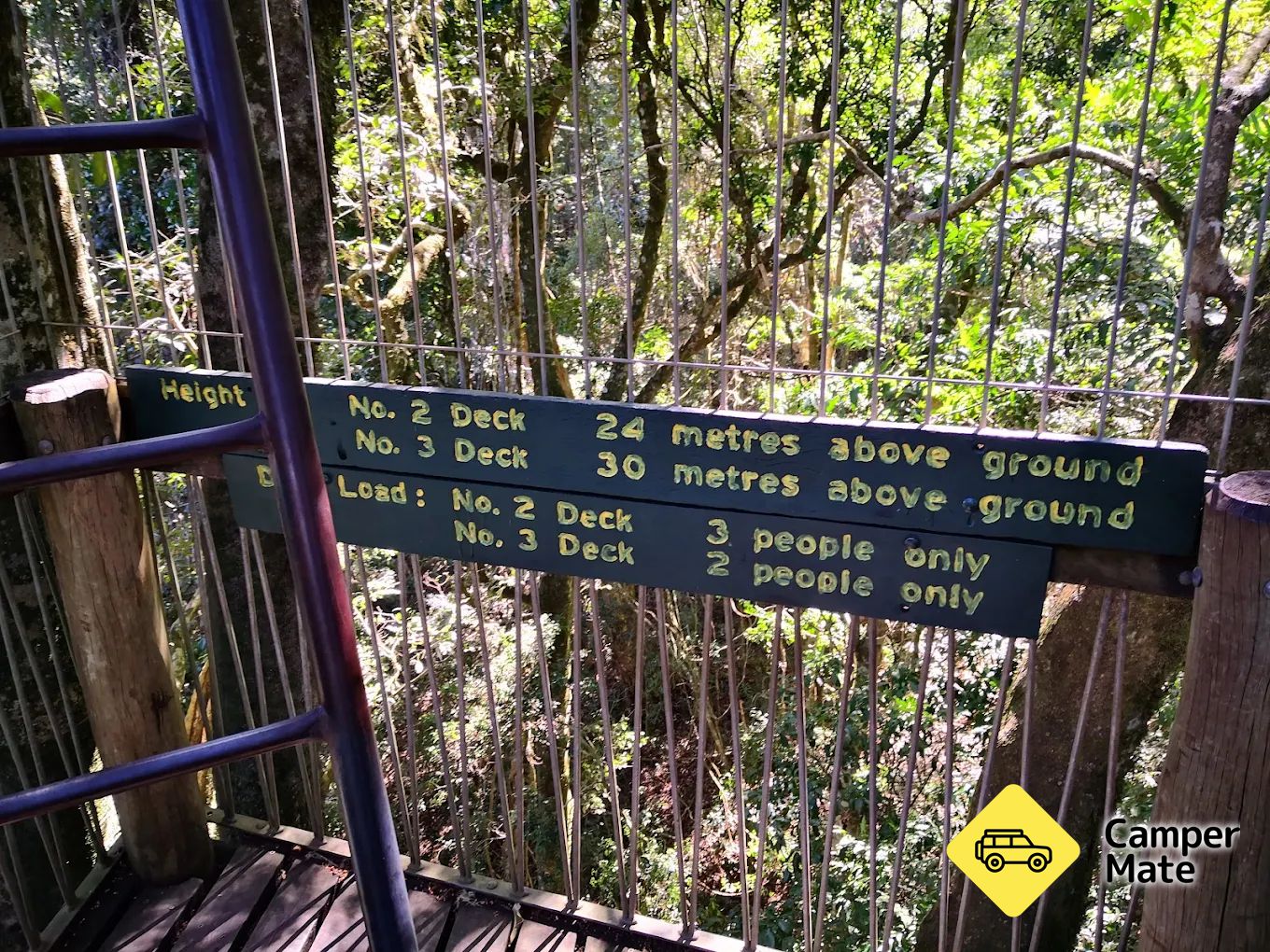 O’Reilly’s Booyong Tree Top Walk - Image 2