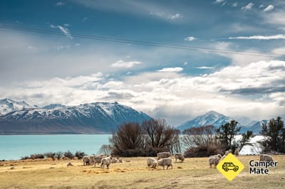 Motuariki View Point