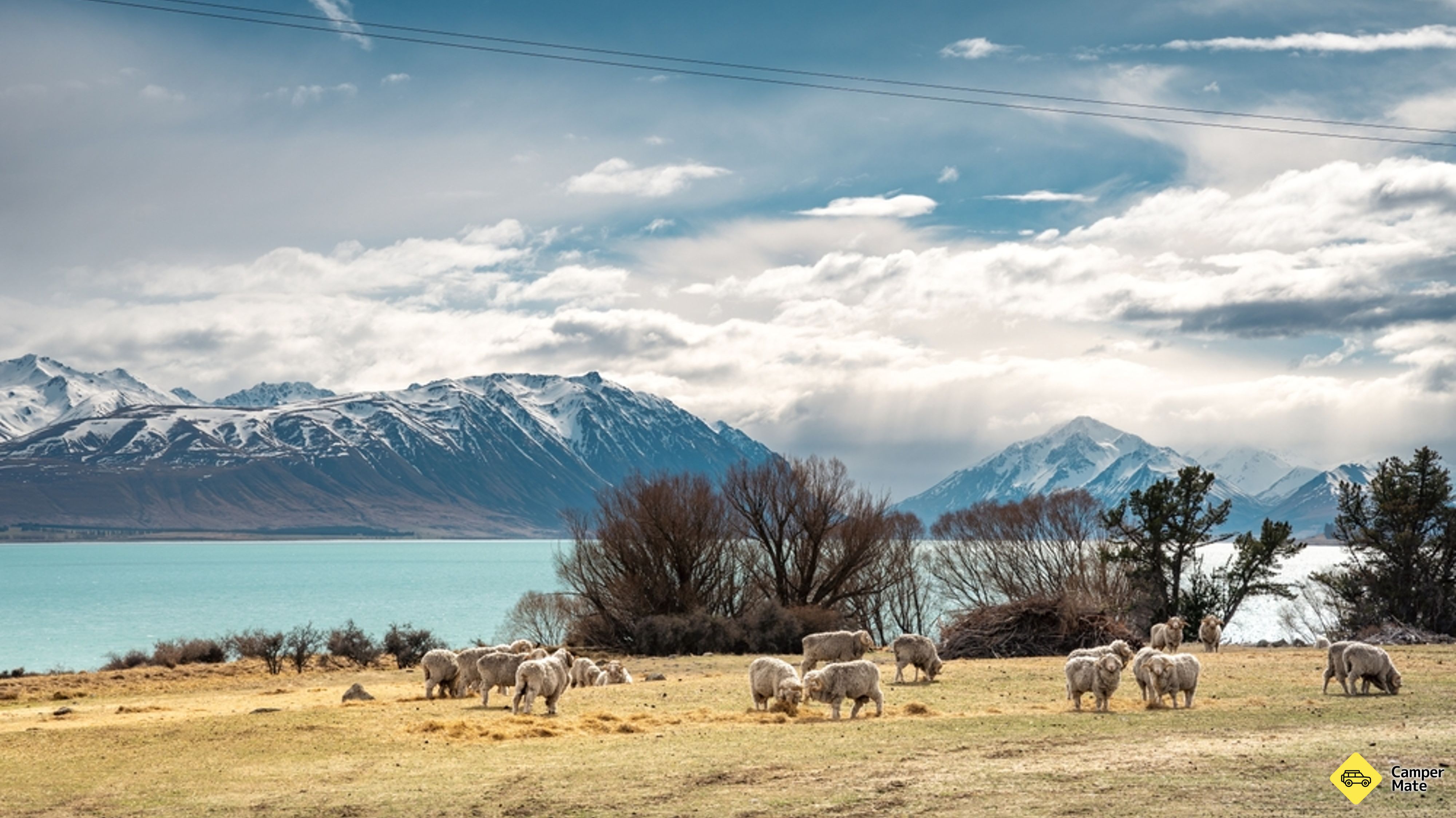 Motuariki View Point