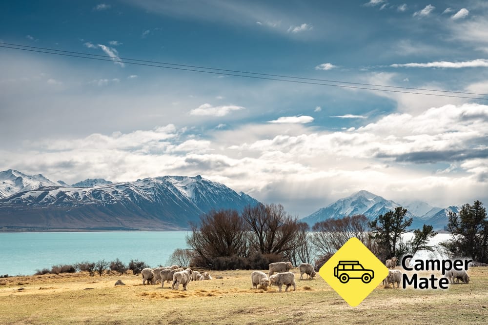 Motuariki View Point