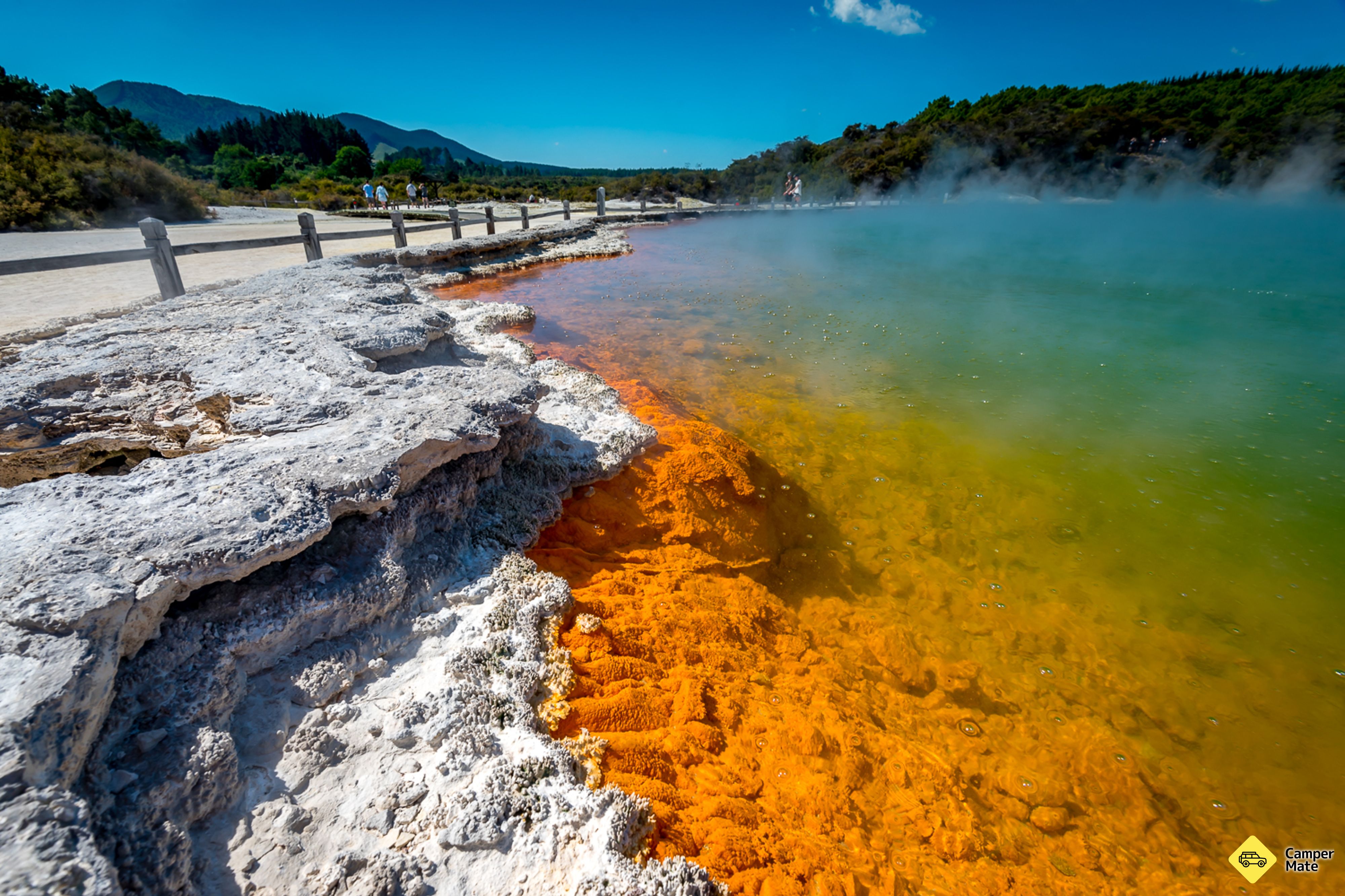 Wai-O-Tapu Thermal Wonderland - Image 3