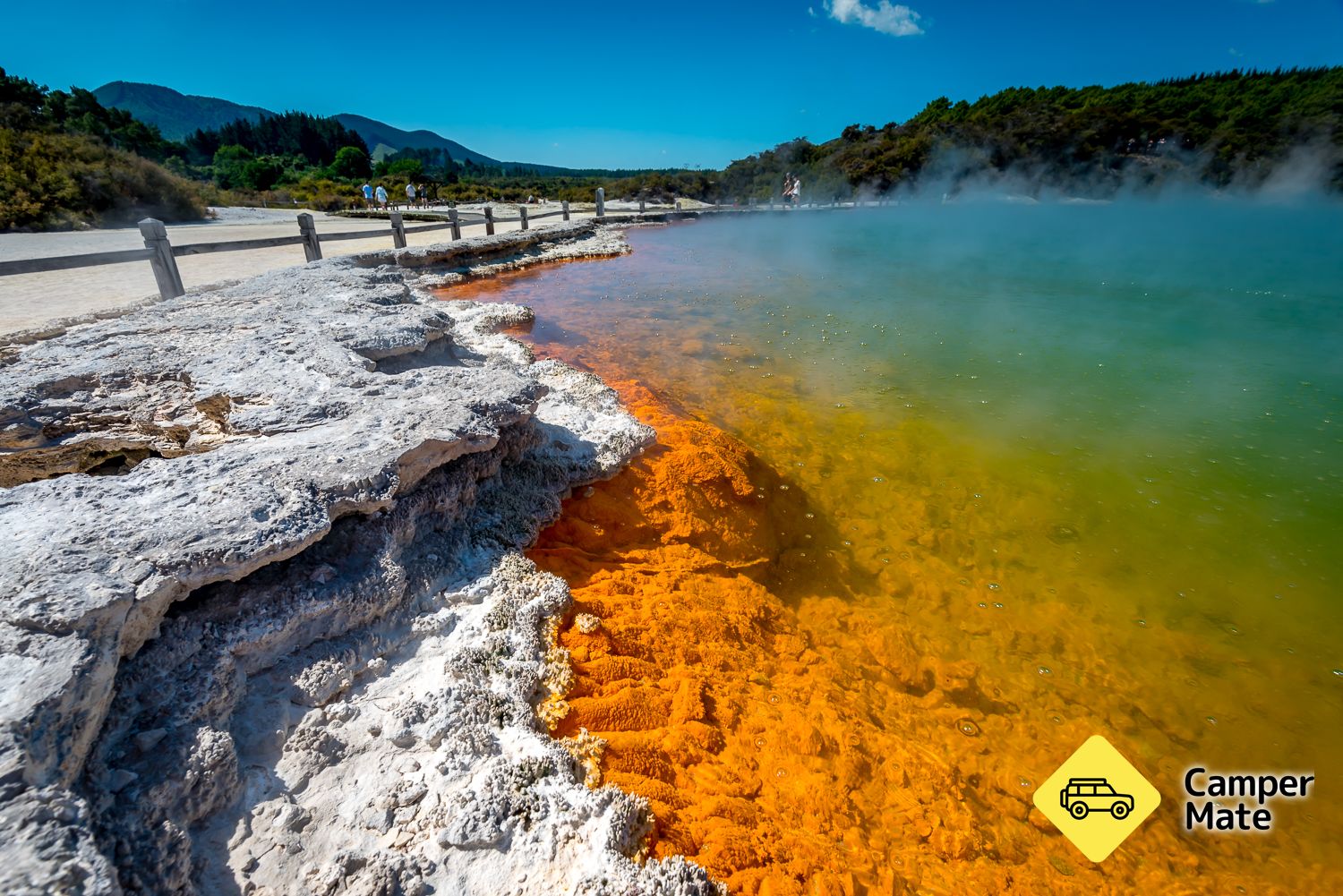 Wai-O-Tapu Thermal Wonderland - Image 3