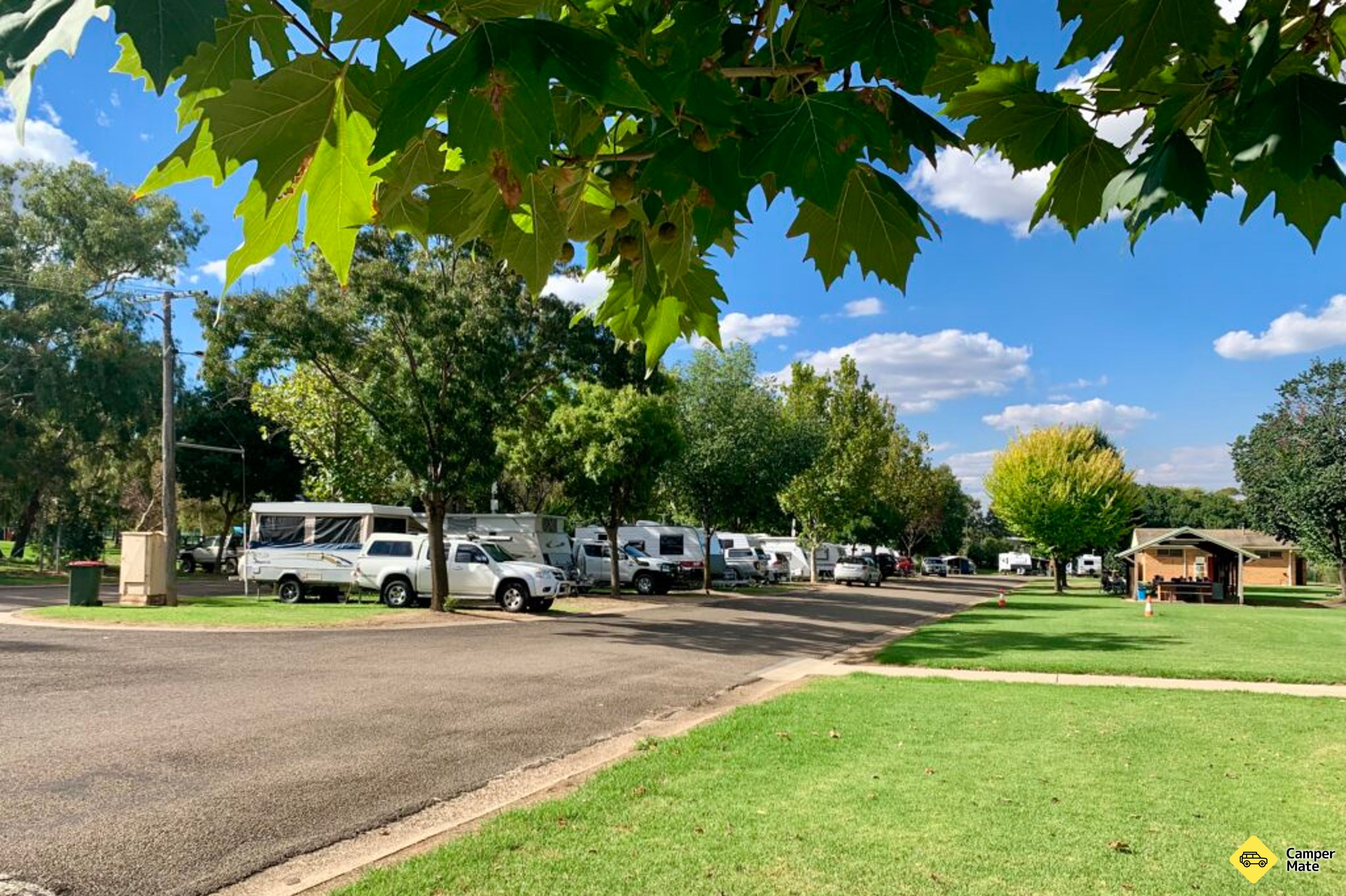 Cootamundra Caravan Parkı