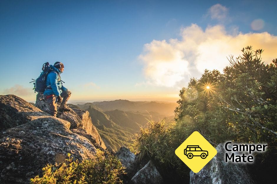 Kauaeranga Kauri Trail (Pinnacles Walk)