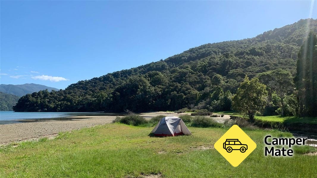 Davies Bay Campsite