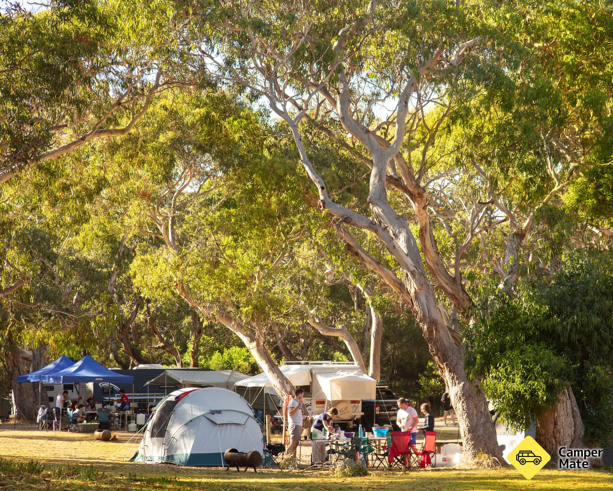 Tiện ích của Bimbi Park Camping Under Koalas