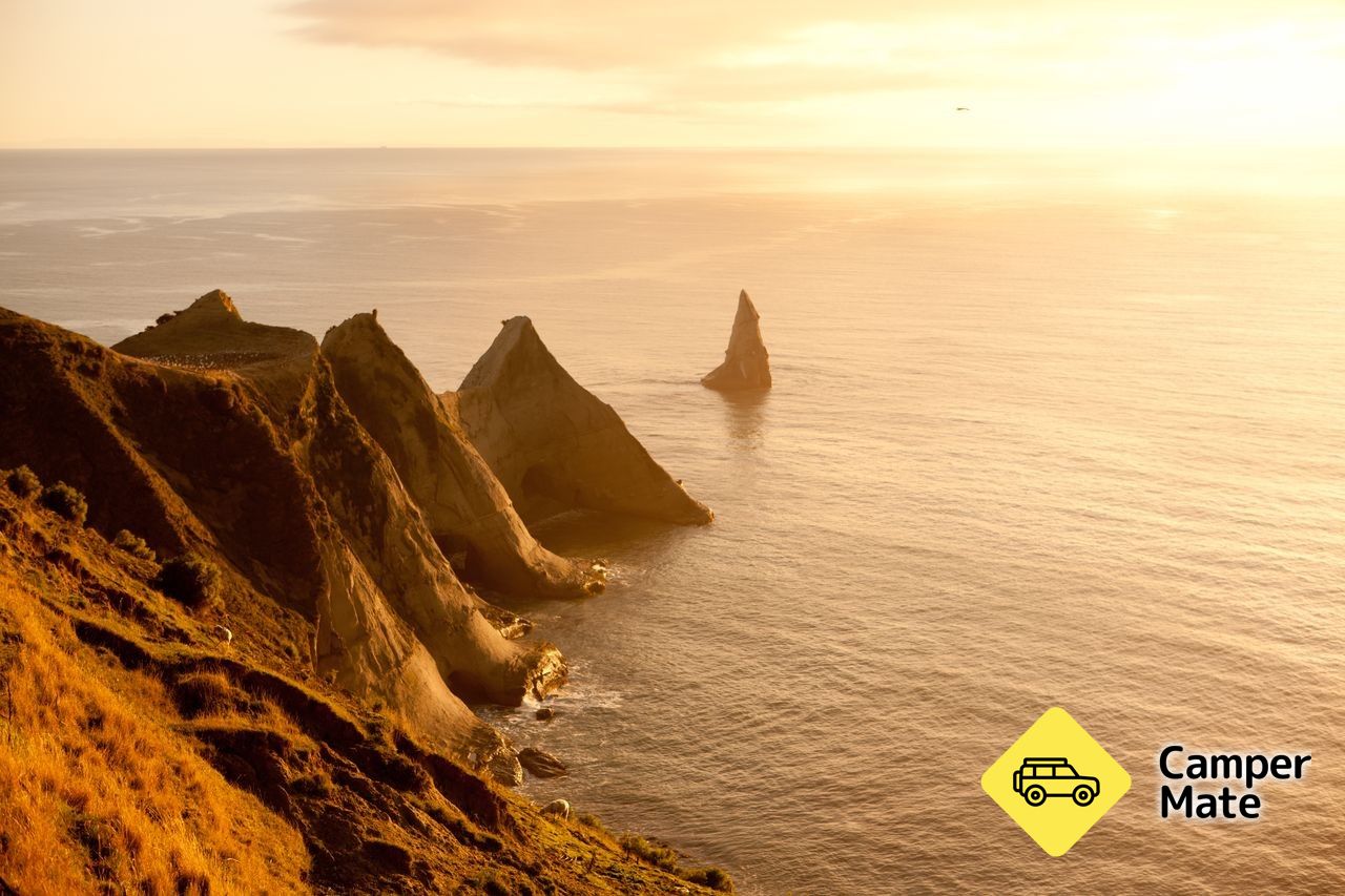 Cape Kidnappers - Image 2