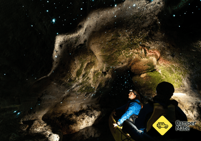 Taiao Glow worm & Geothermal Kayak Adventures