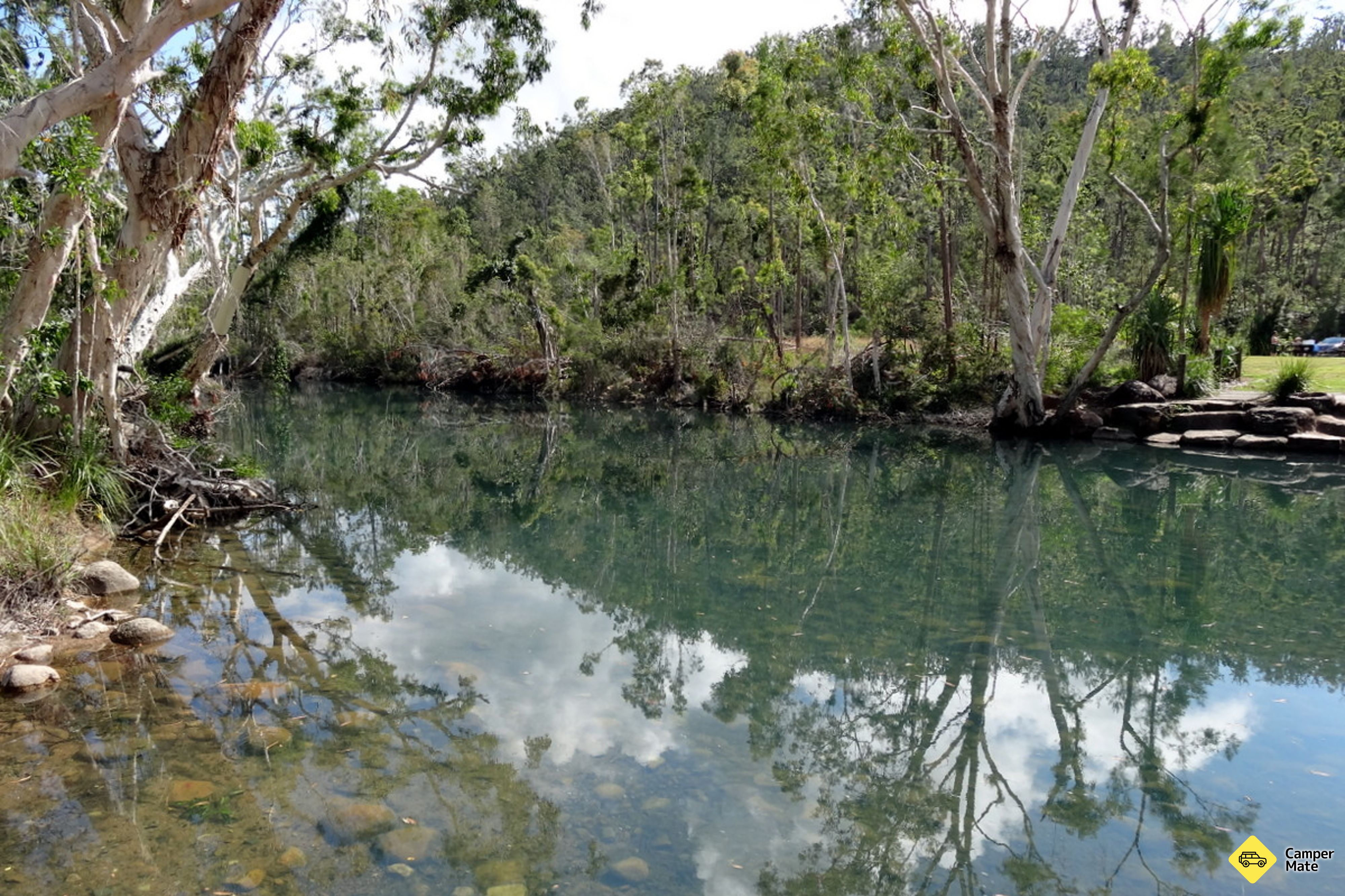 Circuito di Stony Creek Rainforest - Image 3