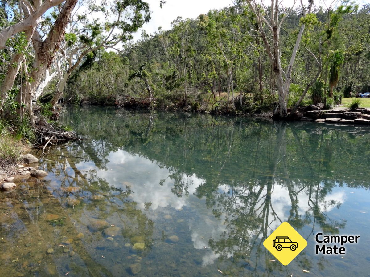 Stony Creek Rainforest Circuit - Image 3