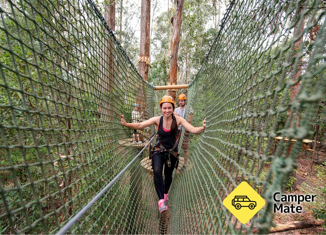 Treetops Adventure The Hills - Image 2