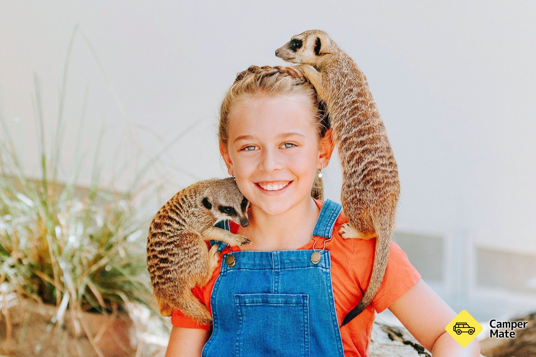 Rockhampton Zoo - Image 2