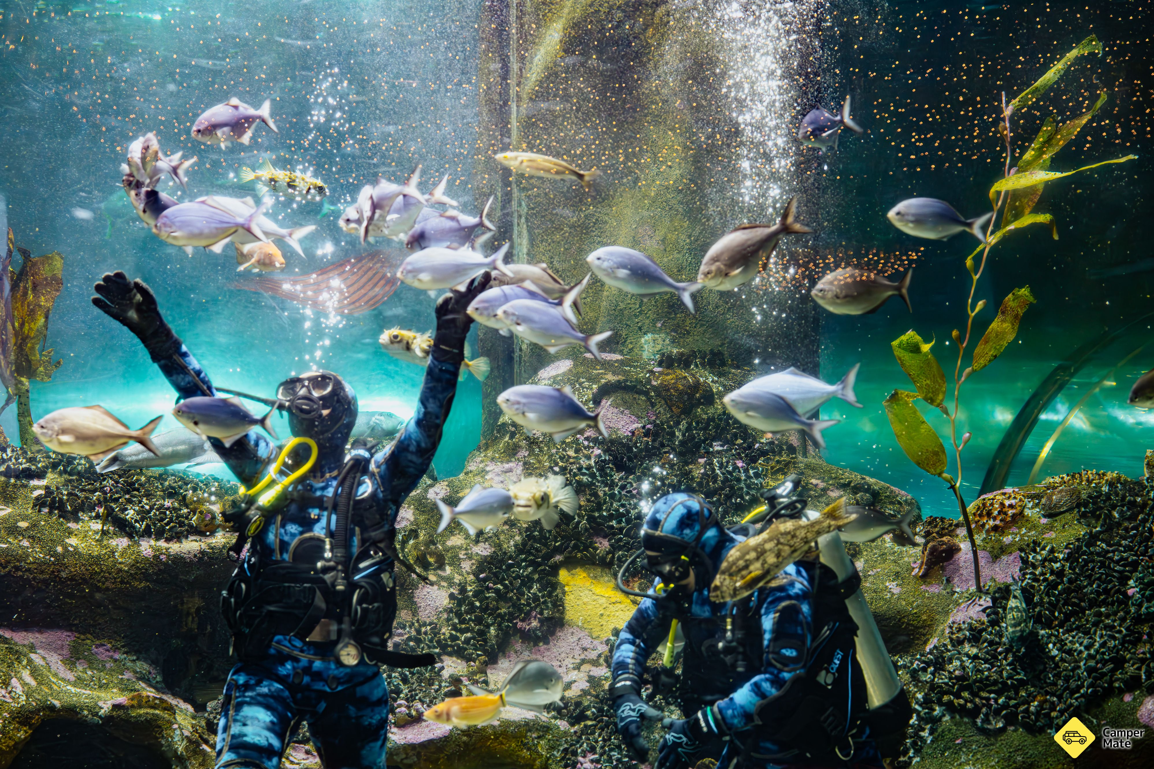 National Aquarium of New Zealand - Image 2