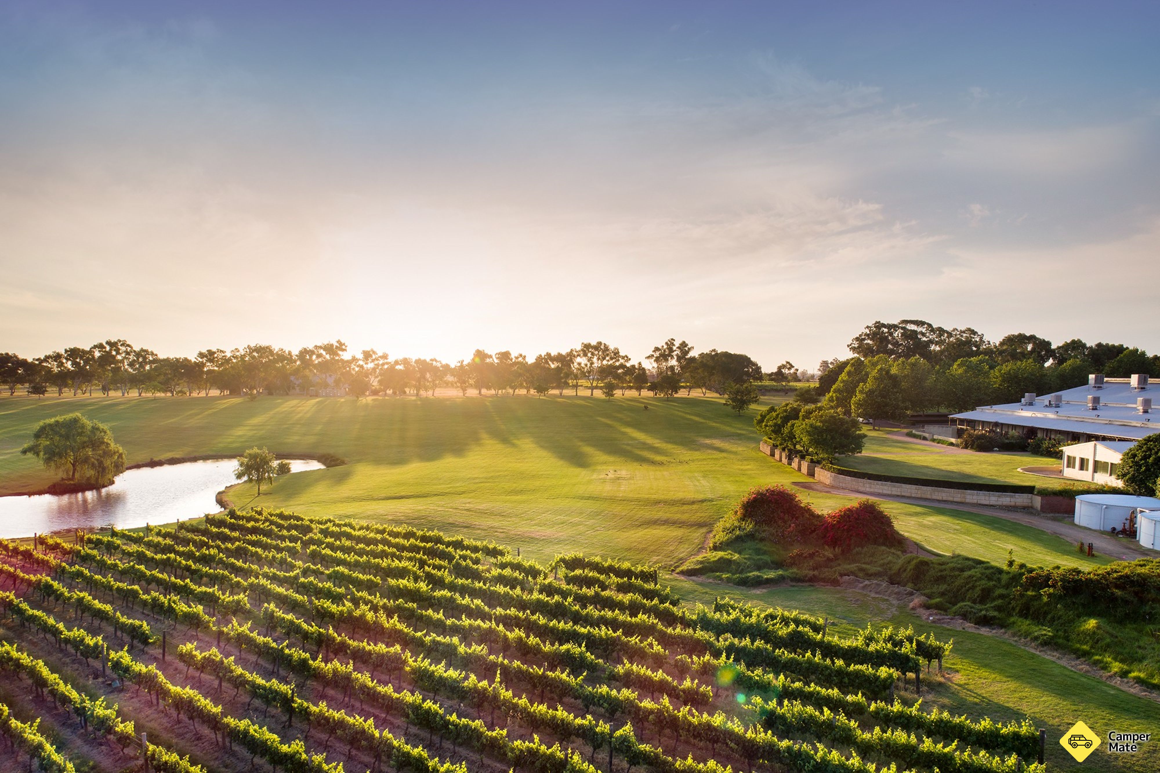Vinos de Sandalford - Image 2
