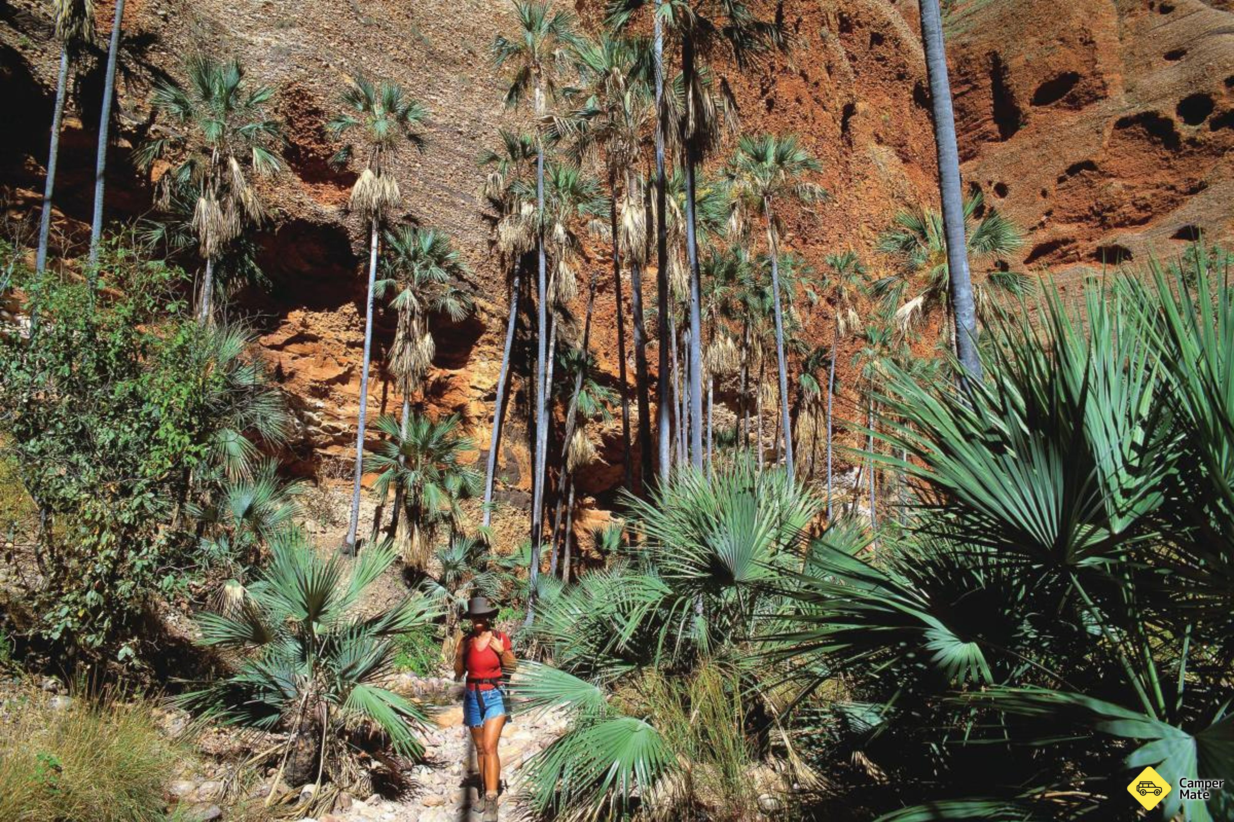 Vejen til Chasm Trail - Image 3