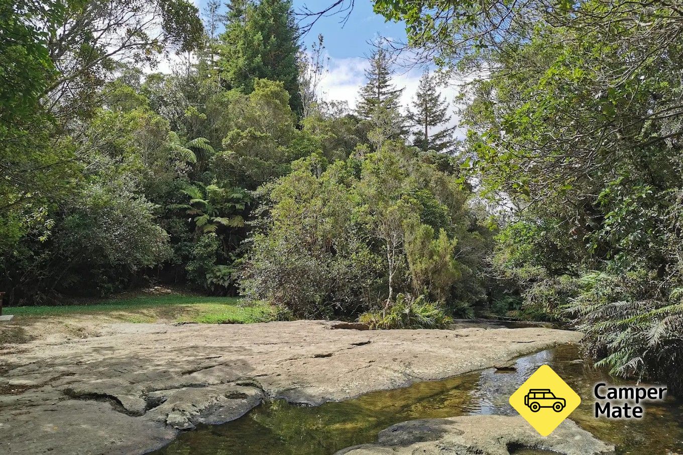 Puketoki Scenic Reserve - Image 2