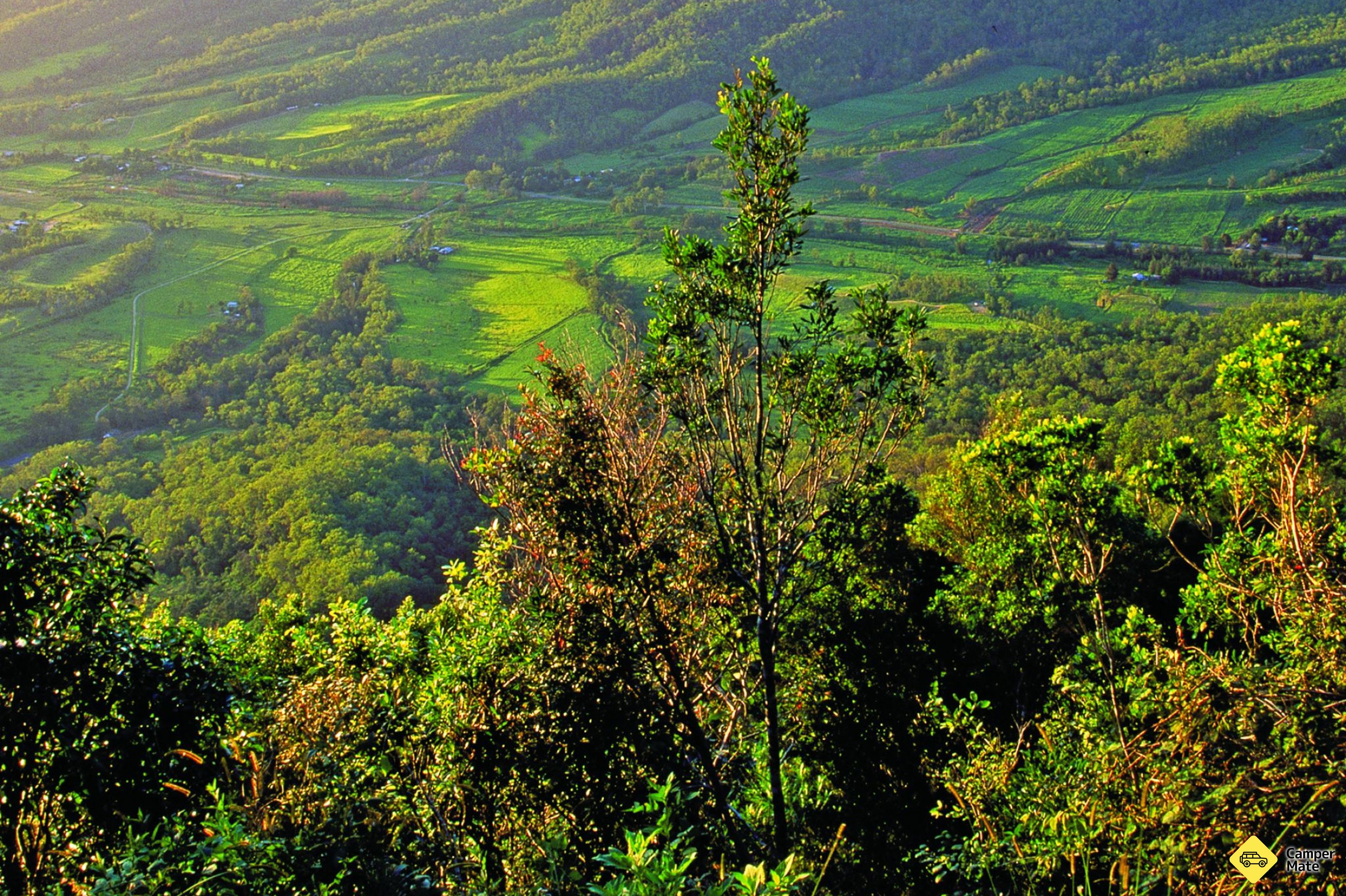 Parc national d'Eungella Camping