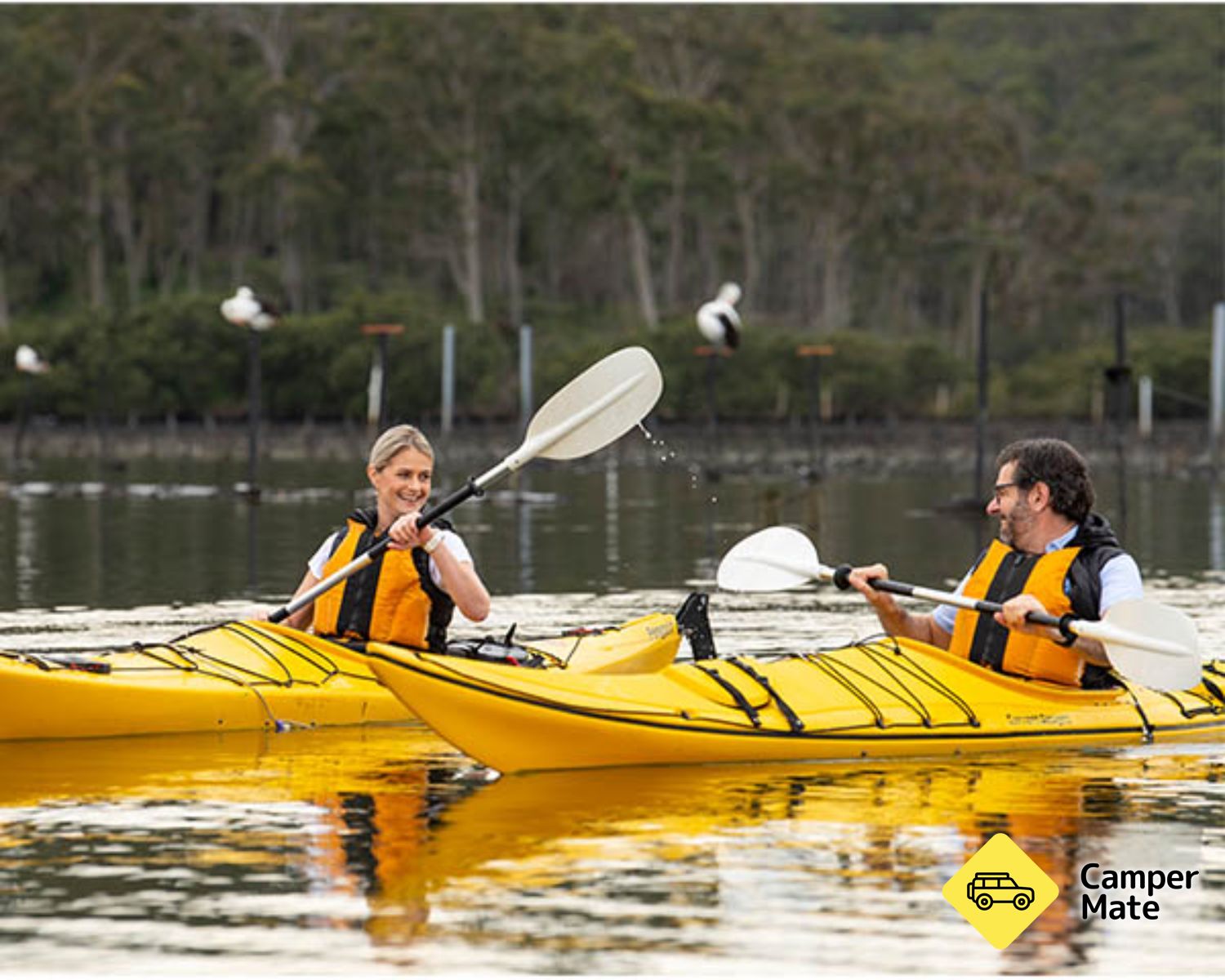 NRMA Batemans Bay Holiday Resort - Image 2