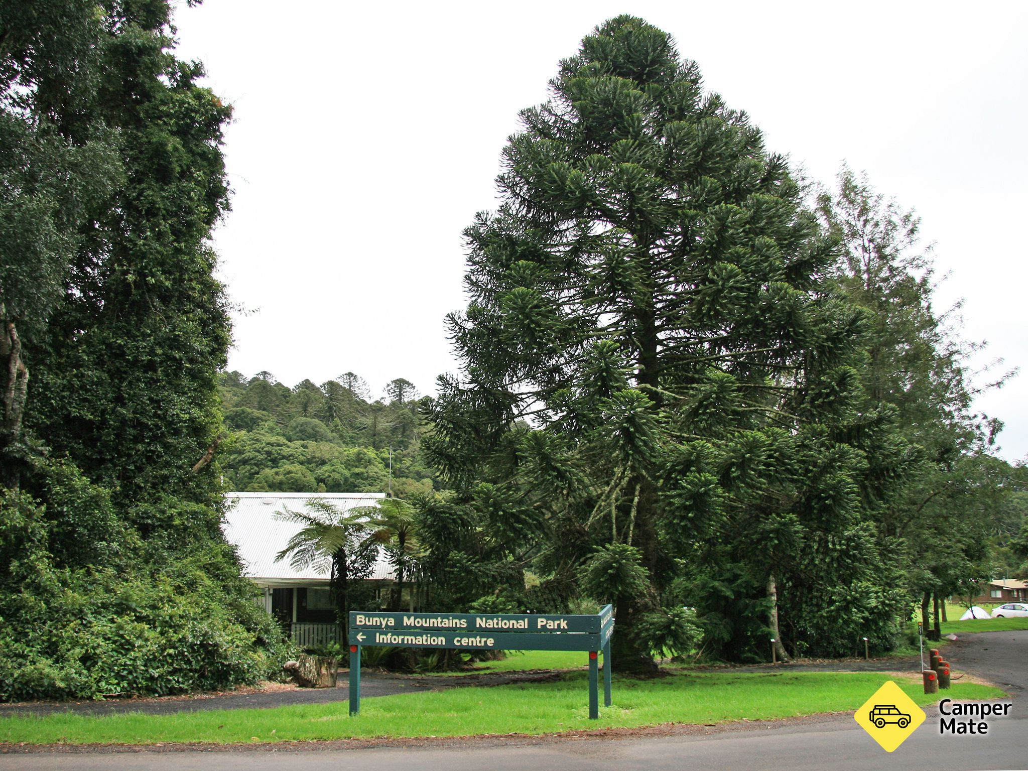 Bunya Mountains National Park Campingplatz - Image 2