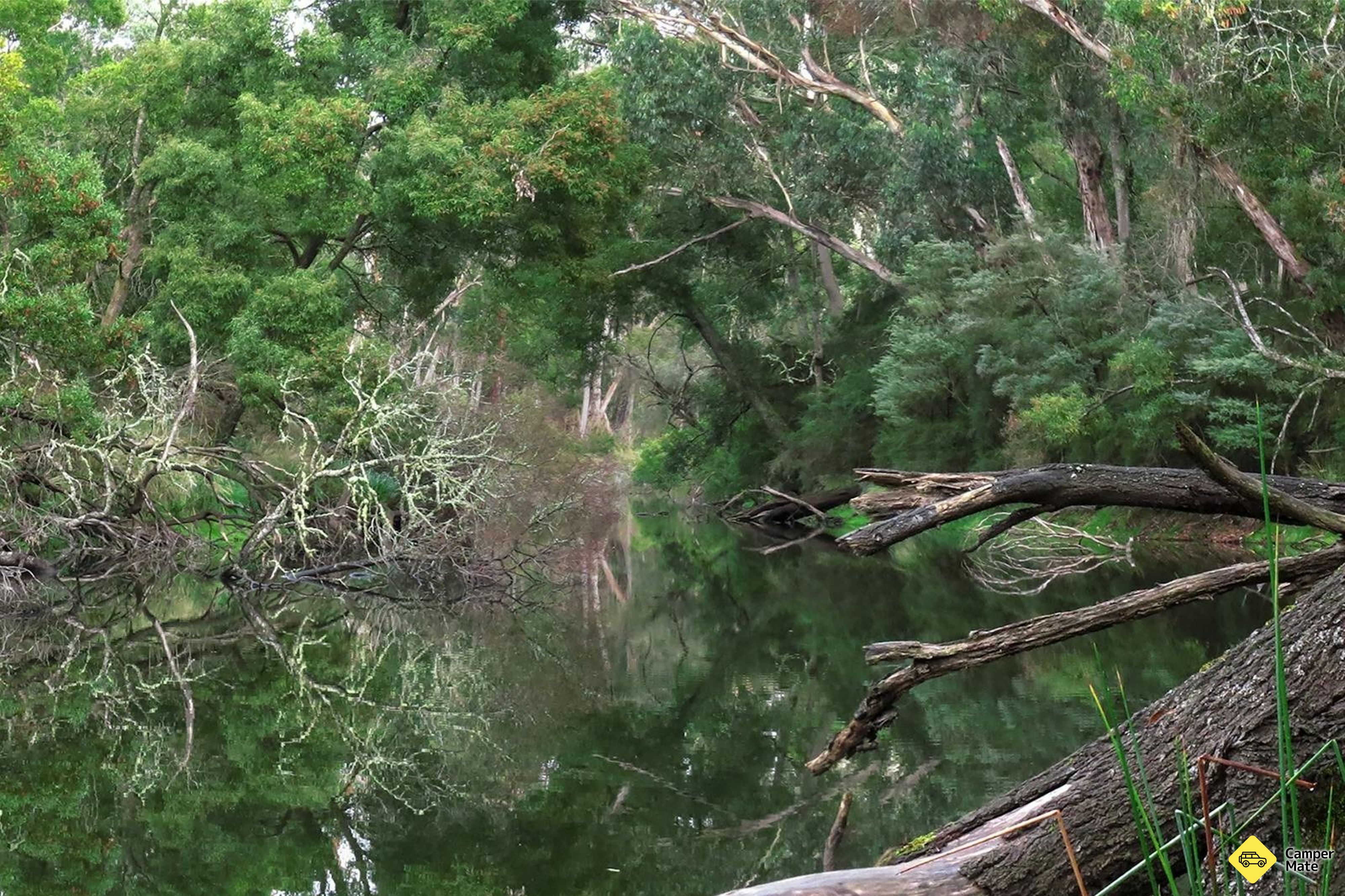 Hiscocks Crossing - Crawford River Regional Park - Image 3