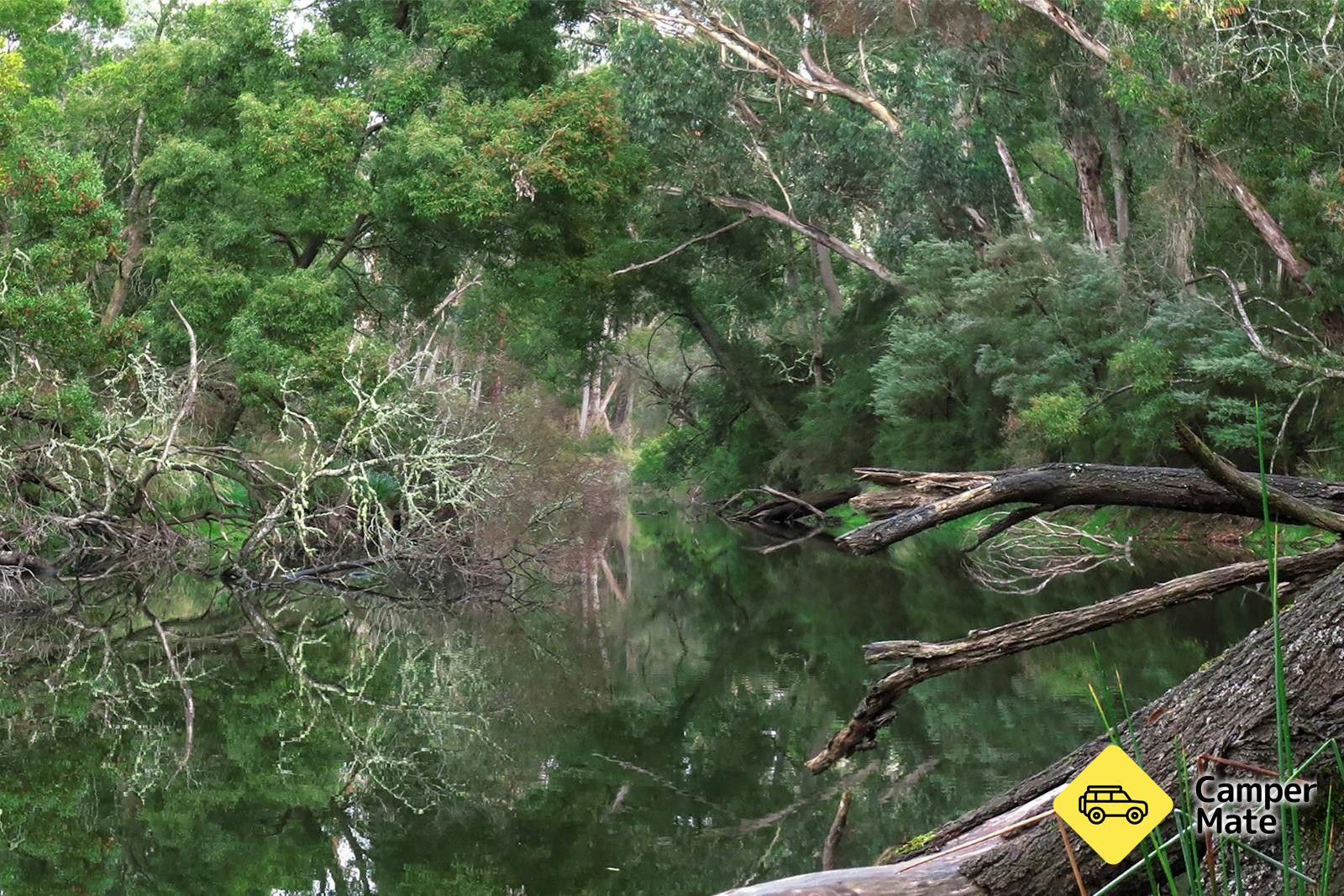 Hiscocks Crossing - Crawford River Regional Park - Image 3