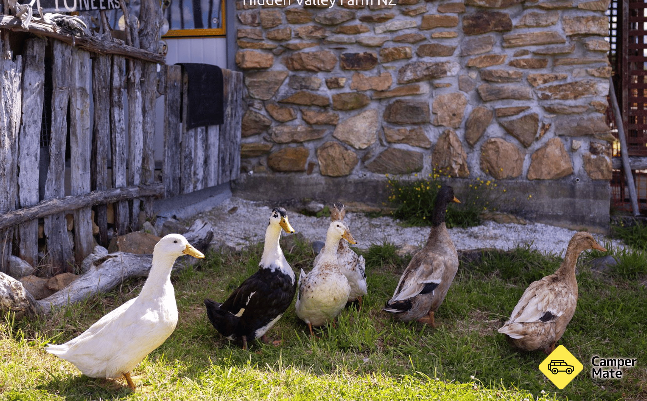 Hidden Valley Farm Camp - Image 2
