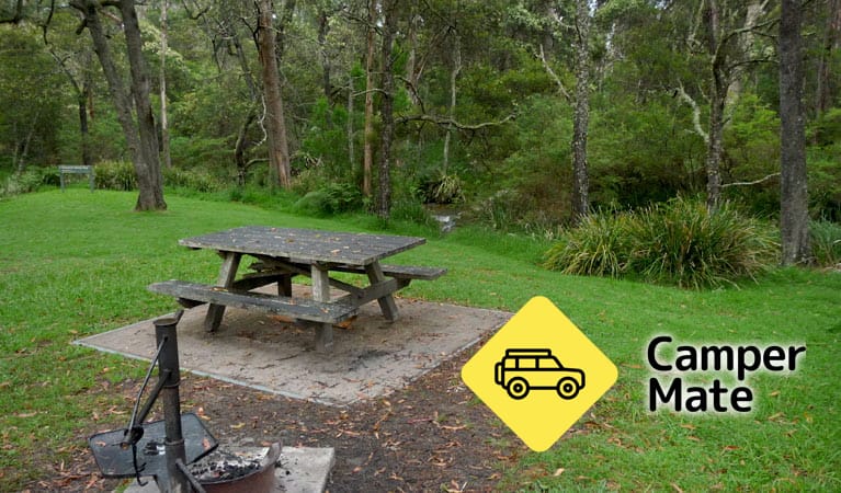 Chaelundi Campground - Image 2