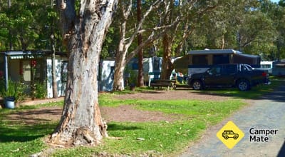ארכיון תגיות Pacific Palms Caravan Park