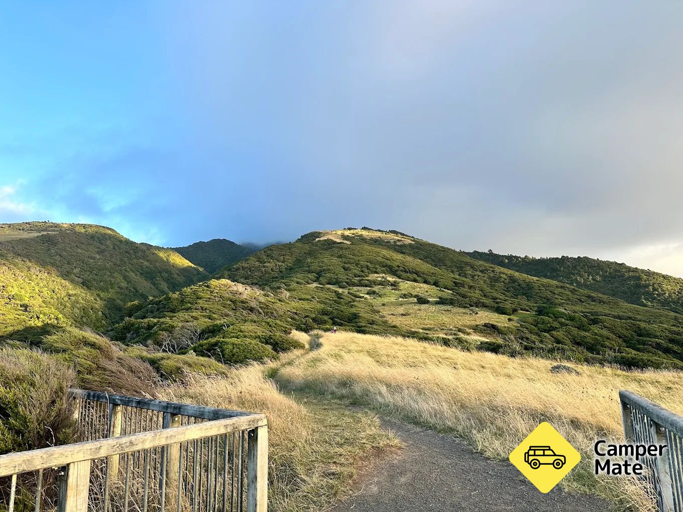 Te Toto Gorge Lookout - Image 2