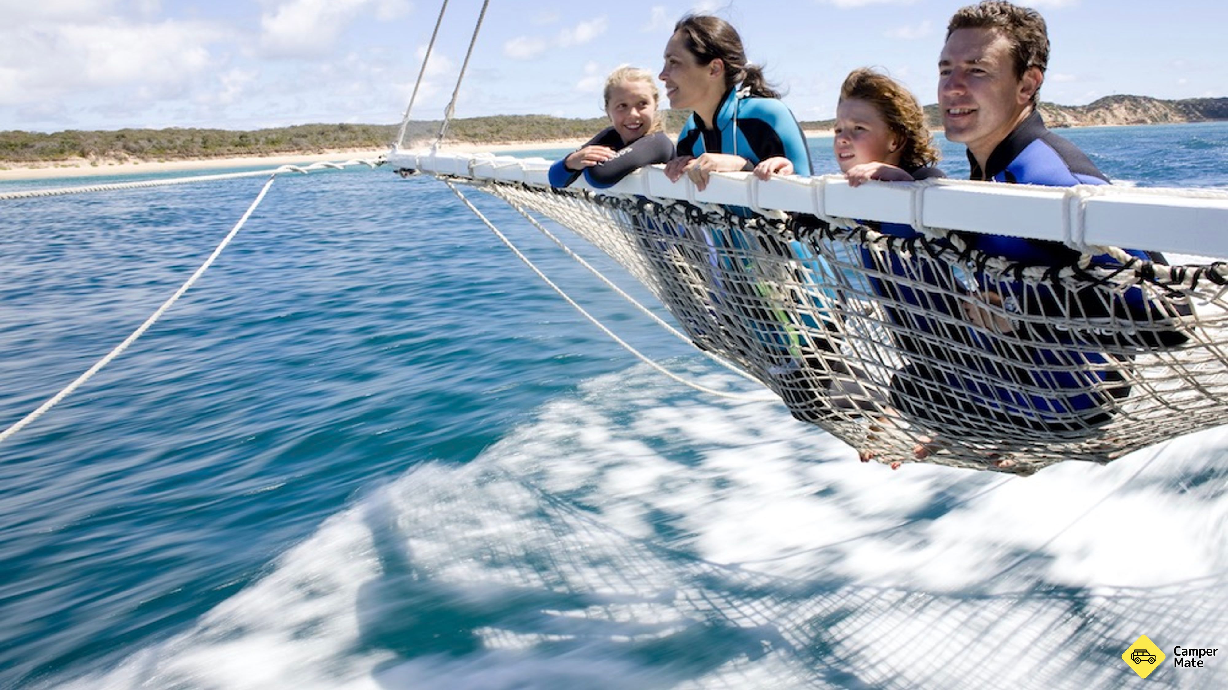 ดอลฟินและซีลสระว่ายน้ําทัวร์ - Queenscliff