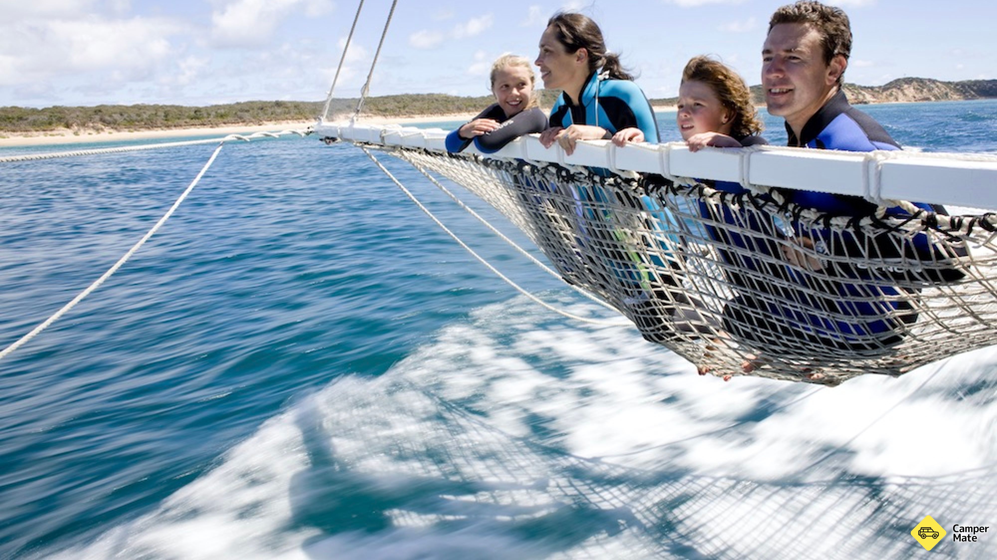 Dolphin and Seal Swim Tour - Queenscliff