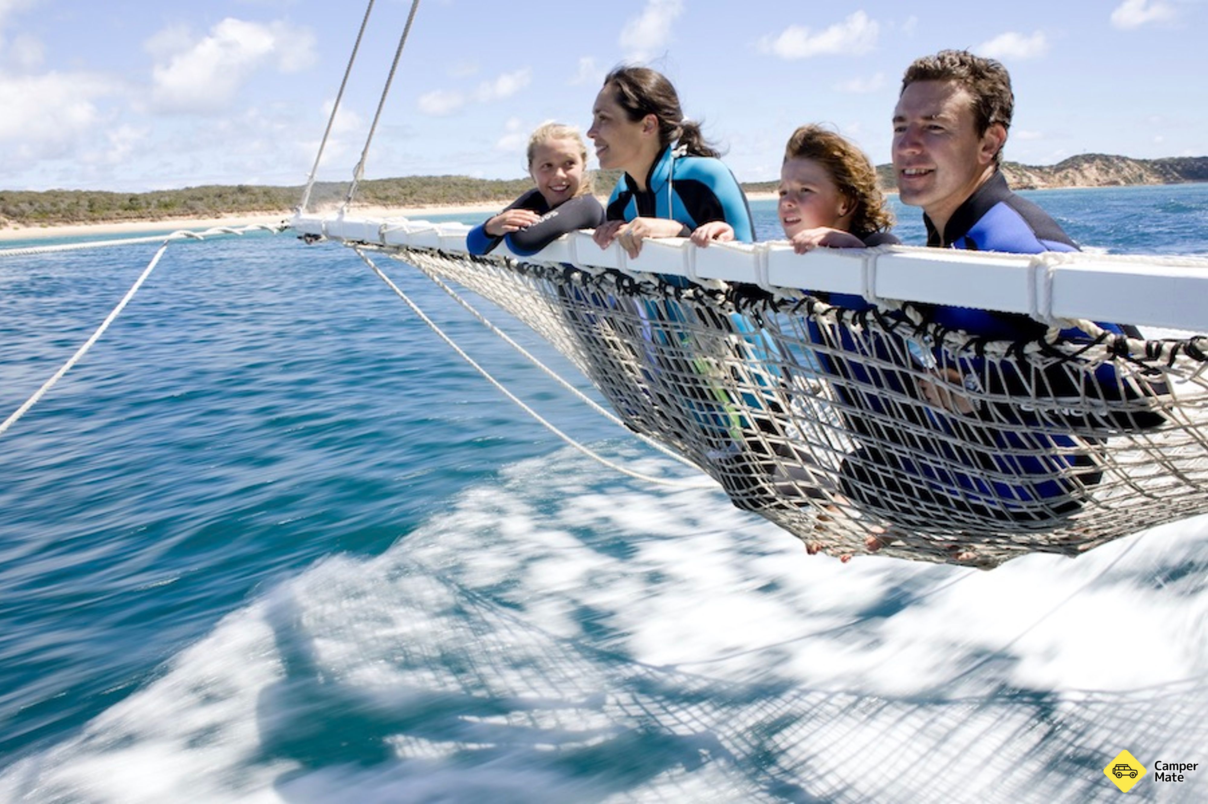 Dolphin and Seal Swim Tour - Queenscliff