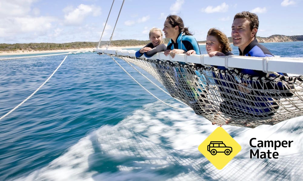 Dolphin and Seal Swim Tour - Queenscliff