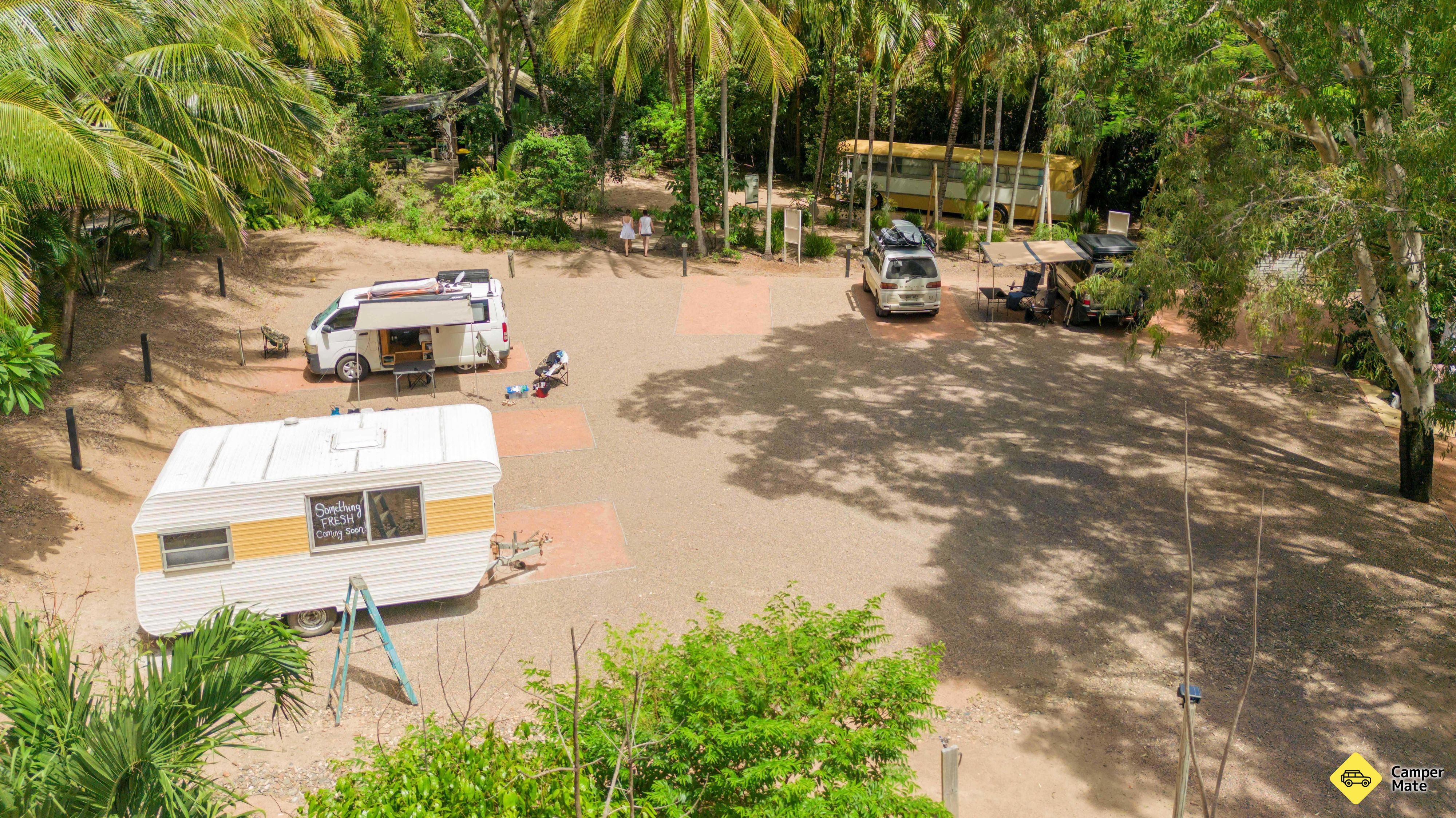 Spesifikasi Bounce Magnetic Island dan Koala Park